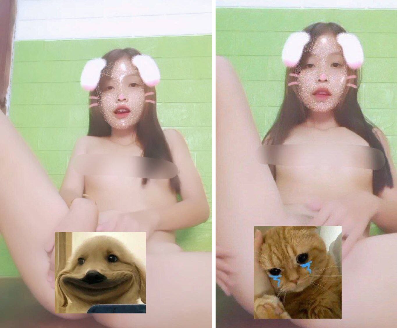 Thỏ xinh bướm nhiều dâm thủy